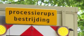 Processierupsbestrijding