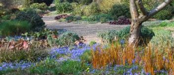 Gravel garden Beth Chatto 1